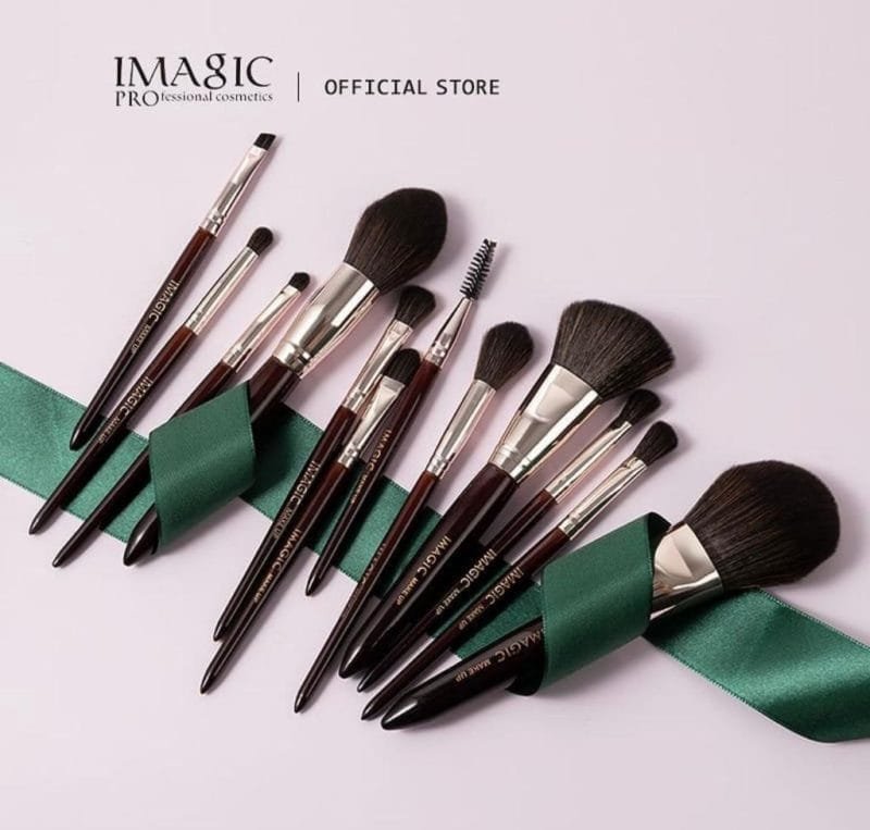 Imagic Professional Brushes ( Set of 12 Brushes )