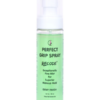 Recode Perfect Grip Spray Makeup Fixer 100ml
