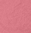 Piggy (Baby Pink)