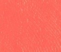 Spicy Marg (Bright Coral)