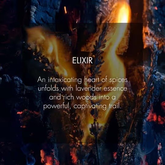 Dior Sauvage Elixir Perfume – (60ml) - Image 3
