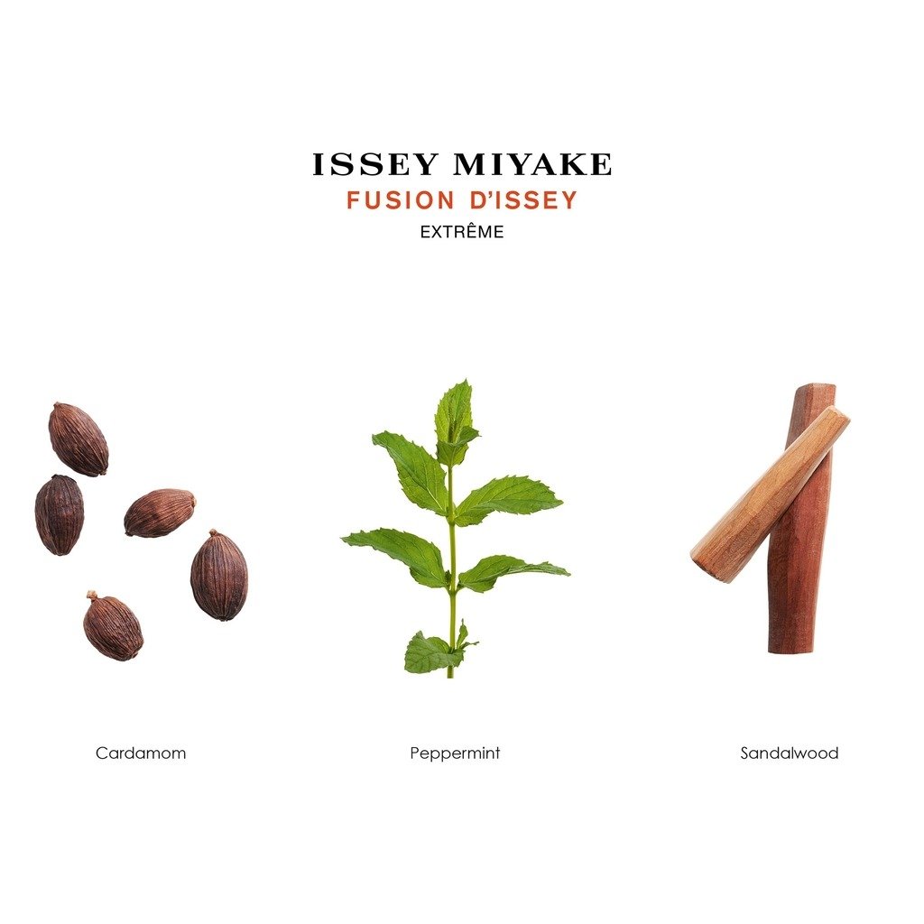 ISSEY MIYAKE Fusion D’Issey Extrême Eau De Toilette Intense – (100ml) - Image 2